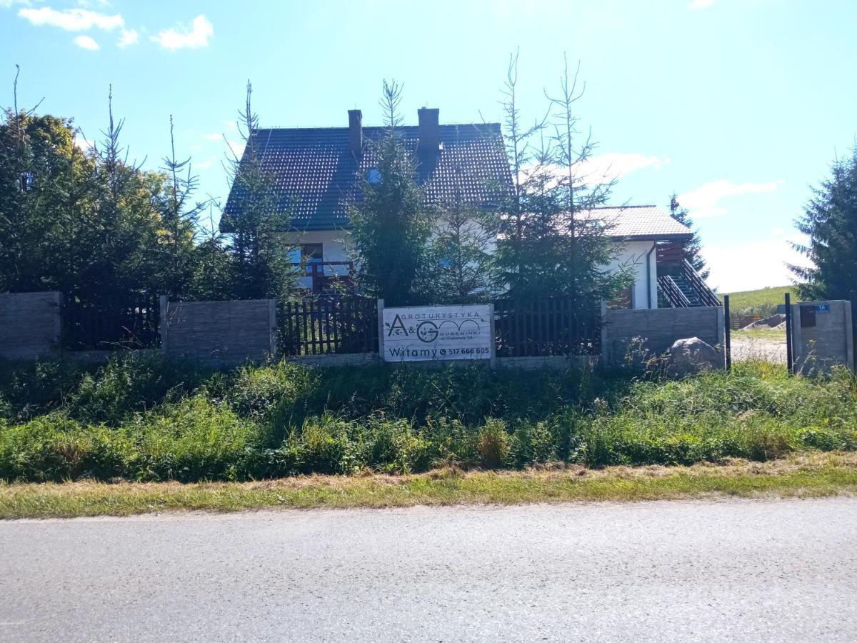 Agroturystyka A&G Dubeninki Екстериор снимка